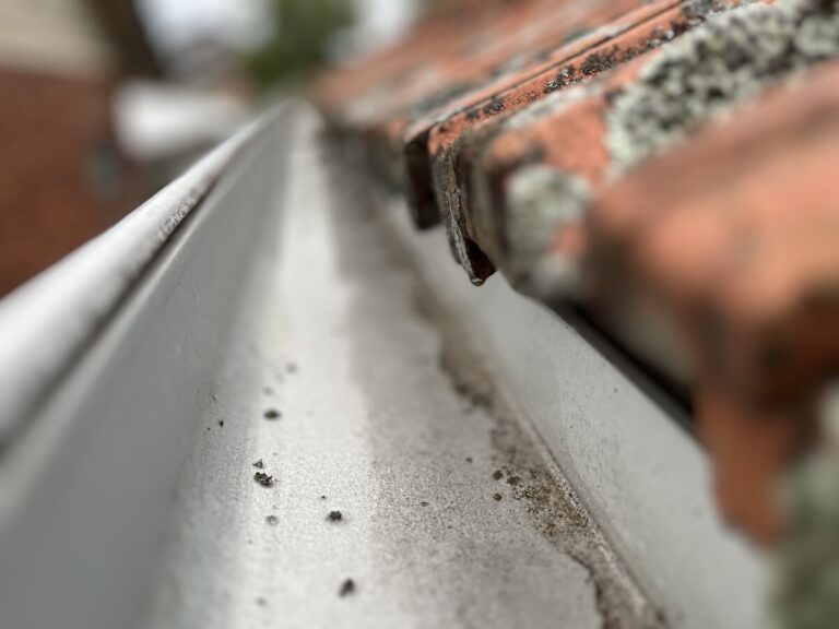 Gutter Cleaning